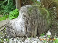 oktob06 005.webp
