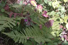 IMAG0432.webp
