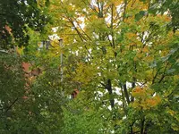 041.webp