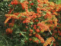 069.webp