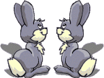 animierte-hase-bilder-124.gif