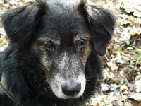 billy portraet maerz10-1.webp