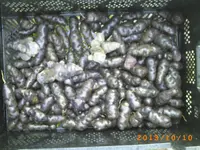 okto 07 008.webp