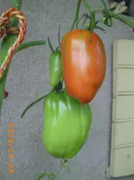 oktob06 002.webp