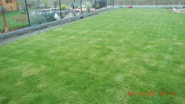 DSCN0894.webp