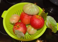 DSC_9348.2.webp