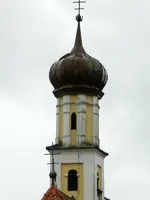 Turmfalke_0001.webp