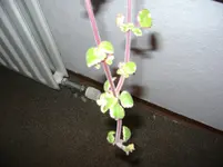 DSC03446.webp