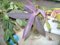 DSC03447.webp