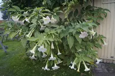 _DSC3591.webp