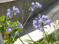 P1090203.webp
