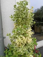 DSCN3702.webp