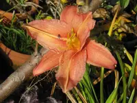 006_1024x768.webp