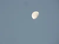 003.webp