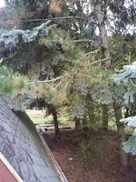 20131013_134610.webp