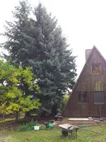 20131013_132137.webp
