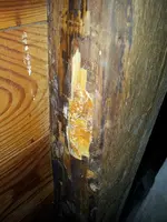 20131013_132007.webp