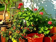 sonnig warm an der Hauswand_1024.webp
