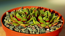 Teide_1024.webp
