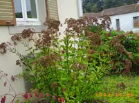 oktob06 038.webp