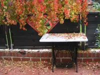 Herbstliche Grüße.webp