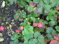 okto 08 008.webp