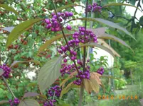 okto 08 016.webp