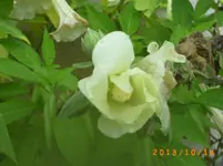 okto 08 020.webp