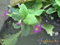 okto 08 024.webp