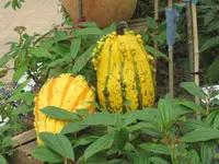 Bilda 0156.webp