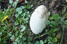 2013_1013Herbst0015.webp