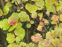 012.webp