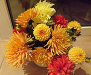 DSCF1553l.webp