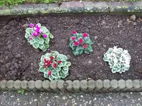 100_5835.webp