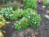 100_5836.webp
