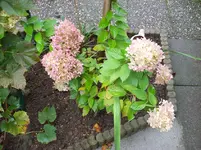 100_5837.webp