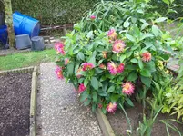 100_5838.webp