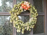 DSCN2624.webp