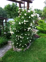 DSCF0104.webp
