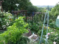DSCF0108.webp
