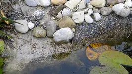 DSCN5809.webp