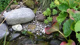 DSCN5810.webp