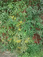 2013-10-13 13.49.18.webp