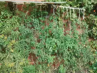 2013-10-13 13.49.00.webp