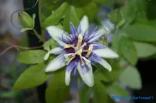 comp_DSC00501.webp