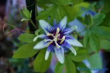 comp_DSC00503.webp