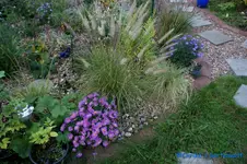 comp_DSC00504.webp