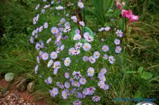 comp_DSC00505.webp