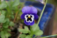 comp_DSC00507.webp