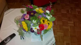 345.webp